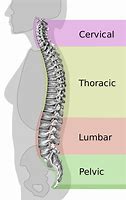 back condition pain bed orthopedic mattres